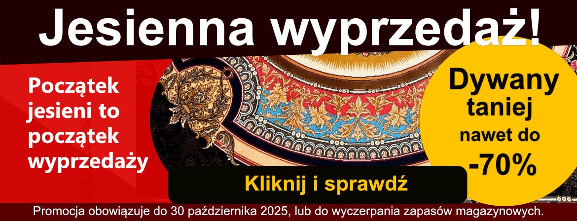 Jesienna wyprzedaż 
